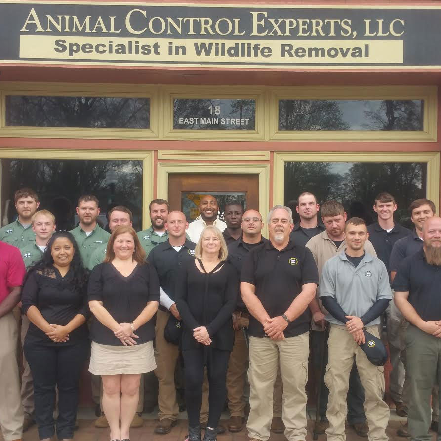 Hoover Animal Control » 24/7 Wildlife Control » Pest Animal Removal Hoover,  AL